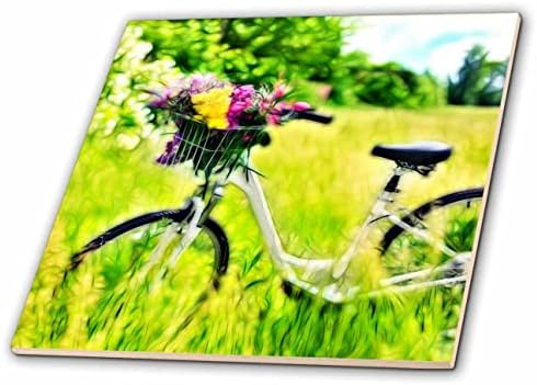 Триизмерен велосипед с кошница с цветя, изображение на картината, настоянной на светлината - теракот (ct-365101-7)
