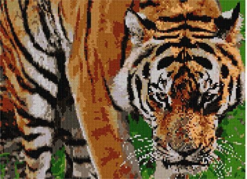 Платно за бродиране Пепиты: Тигър Твърде близо, 14 x 10