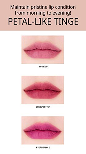 3 Concept Eyes Stylenanda Velvet нюанс за устни (Новост 2017 г.) достъпна 10 цвята (тъмно-сиво)