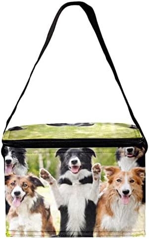 Дамски Чанта за обяд GUEROTKR, Кутия за Обяд за мъже, Дамски Кутия за Обяд, с изображение на животно пейзаж куче