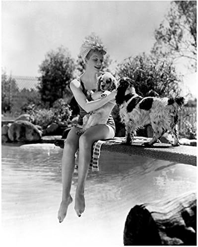Lucille Ball тусуется басейна с кокер-спаниелями 8 х 10 Снимка