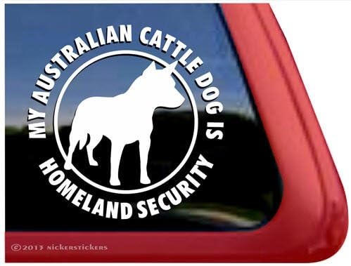 Национална Сигурност - Австралийски Овчарски Дог Хилер Vinyl Стикер На Прозореца