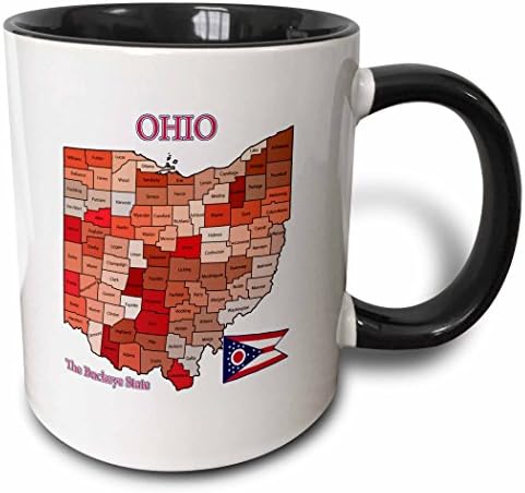 3D Карта, Флаг и Прякора на Щата Охайо с Всички округами, Раскрашенными и Помеченными в два цвята Черна Чаша,