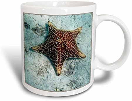 Керамична чаша 3dRose mug_39106_1 Подводна Морска звезда в Рамка от Морски Въжета, 11 Грама