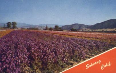 Пощенска картичка от Солванга, Калифорния